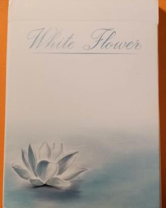 White Flowers - Jack Nobile 