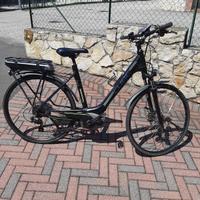 ebike bici elettrica