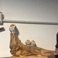 Scultura artigianale “Famiglia di Gufi” su legno