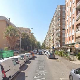 Giulio agricola camera ad uso condiviso