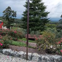 palo zincato verniciato per vigneto