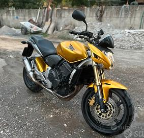 Honda hornet
