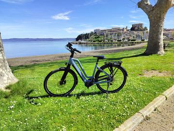 Bicicletta elettrica Gazelle Chamonix T10