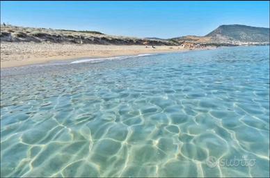 NORD SARDEGNA - VALLEDORIA - Casa vacanze