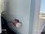 Immagine 10
