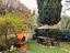 Immagine 26