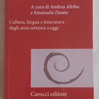 Libro universitario Modernità italiana