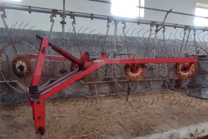 Ranghinatore a stelle