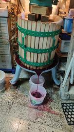 Torchio idraulico per vinaccia da 55