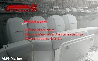 Assistenza Nautica Motori AMG Marine