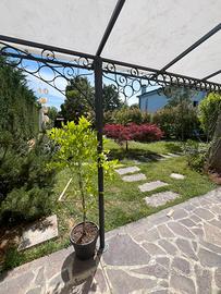 Pergola addossata a parete