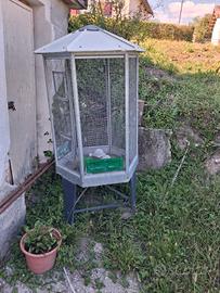 voliera per volatili