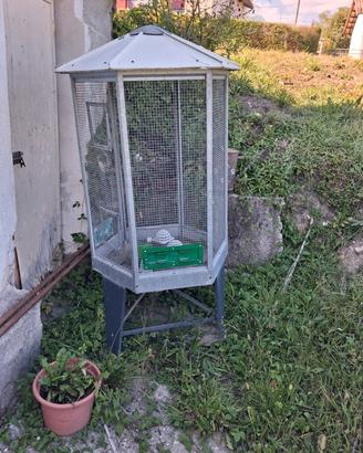 voliera per volatili