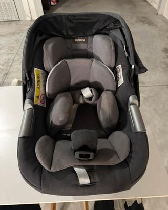 Ovetto inglesina darwin infant