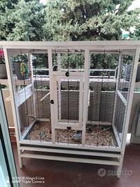 GRANDE GABBIA PER VOLATILI