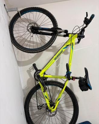 Bici lombardo 300