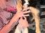 Immagine 3