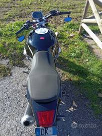 Moto Guzzi griso 1100