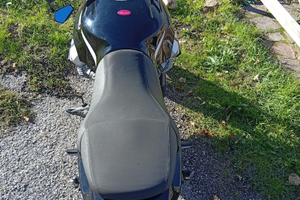 Moto Guzzi griso 1100