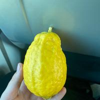 Limone da collezione