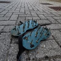 Scarpe chiodate per prato.