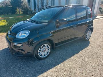 fiat panda ibrida 