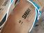 Immagine 4