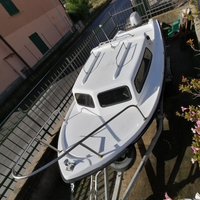 Pilotina Cranchi