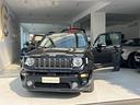 jeep-renegade-1-3-t4-ddct-business