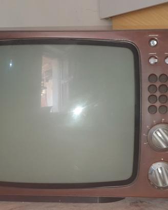 Brionvega pictor 24