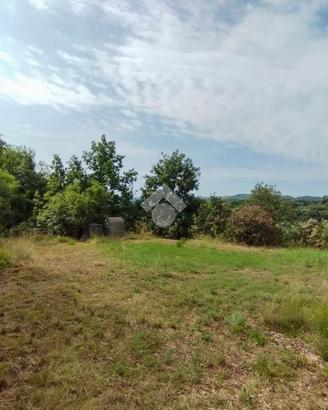 TER. AGRICOLO A PUEGNAGO SUL GARDA