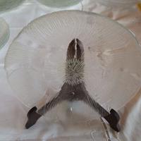 PIATTI FRUTTA ARCOROC FRANCE MODELLO FLEUR 1980