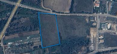 A Girasole terreno agricolo di 7.000 mq