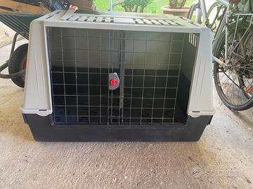 Trasportino cani