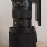 Sigma 150/600 sport attacco Nikon