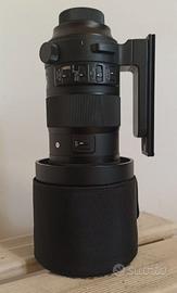 Sigma 150/600 sport attacco Nikon