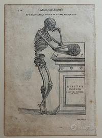 Incisione originale di Andrea Vesalio