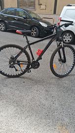 biciclette in alluminio ruota 29