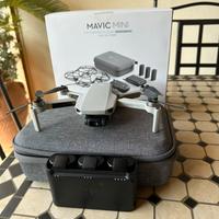 dji mavic mini