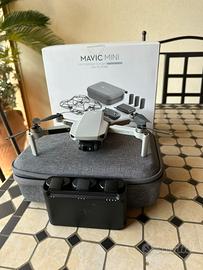 dji mavic mini