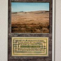 Carta Magic Savana