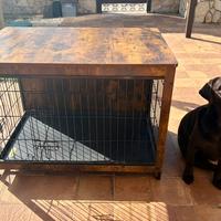 Kennel/mobile cani taglia meglia