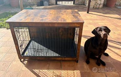 Kennel/mobile cani taglia meglia