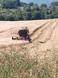 New Holland 3550 AL
