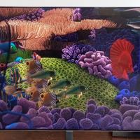 Samsung QLED 65" Serie 7 (4K HDR)