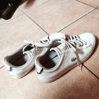 scarpe Lacoste taglia 42