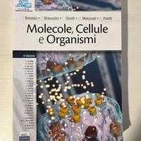 Molecole, cellule e organismi Edises medicina