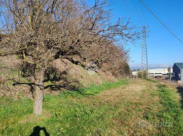 TERRENO A PESCANTINA