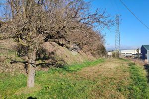 TERRENO A PESCANTINA