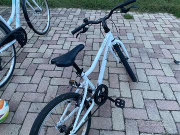 Bicicletta “20” pollici